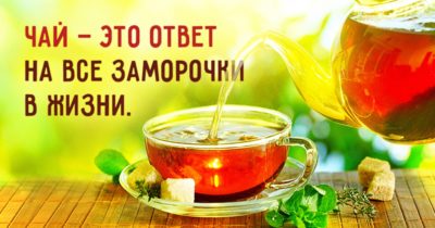 Простое руководство, как заварить вкуснющий чай