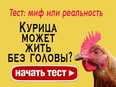 Знаете ли вы, какие из этих фактов правда, а какие — миф?