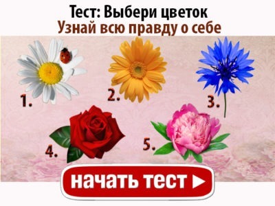 А какой вы цветок?