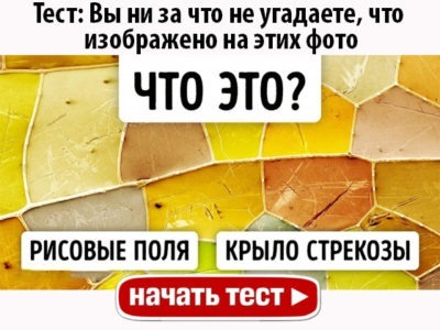 Вы ни за что не угадаете, что изображено на этих фото