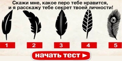 Скажи мне, какое перо тебе нравится, и я расскажу тебе секрет твоей личности!
