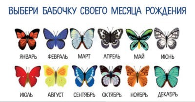 Выбери бабочку своего месяца рождения и узнай, что она расскажет о тебе