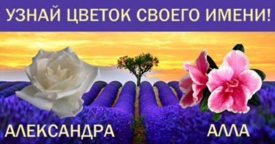 Цветок вашего имени: скорее узнайте, какой цветок соответствует вам