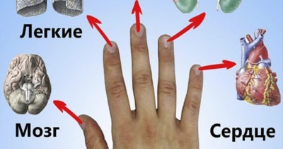 Каждый палец сопряжен с двумя органами: японский метод излечит за 5 минут любую хворь!