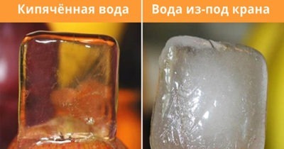 39 фактов о мире вокруг, которые заставят открыть рот даже самых умных из нас