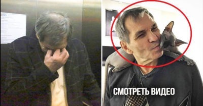 Мошенники развели семью Бари Алибасова на 800 тысяч рублей, подсунув чужого кота