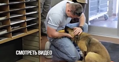 Парень пришел, чтобы забрать собаку из приюта. Ее счастье не передать словами!