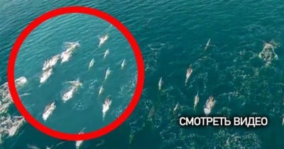 Невероятные кадры! Дрон снял на камеру необычных существ в море! Неужели ОНИ и правда существуют?