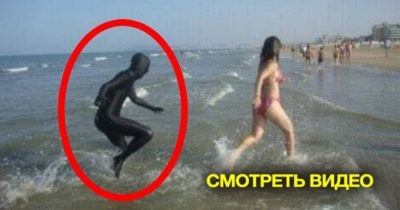 Такое не каждый день можно увидеть! Видео которые повезло снять на Камеру.