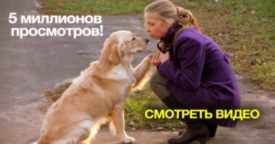 5 миллионов просмотров! Большая любовь собаки к хозяйке